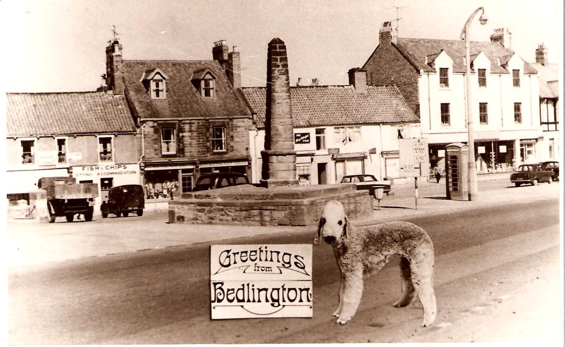 Old photos of Bedlington