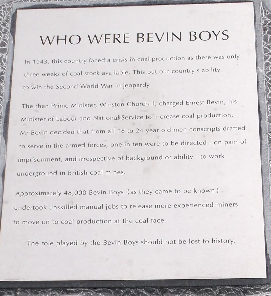 Just who were the Bevin Boys?