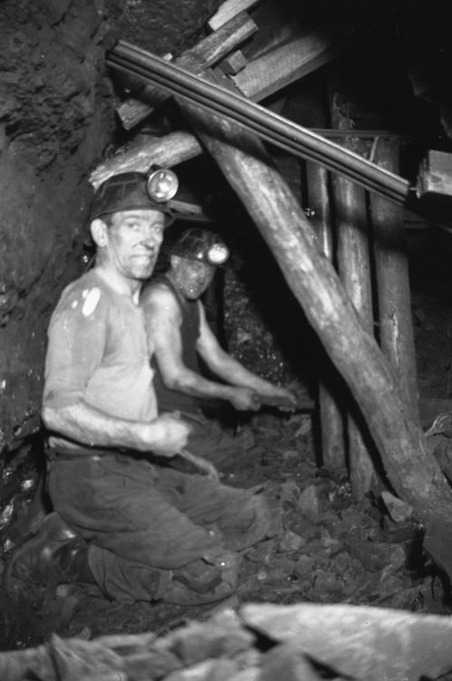 Miners 7.jpeg