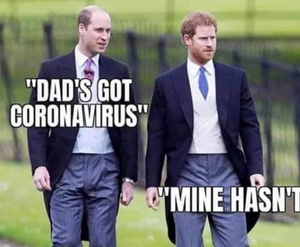 0_Prince-William-and-Prince-Harry-dad-memes.jpg.bcd20b9ed955676d30f10b9272a20ea0.jpg